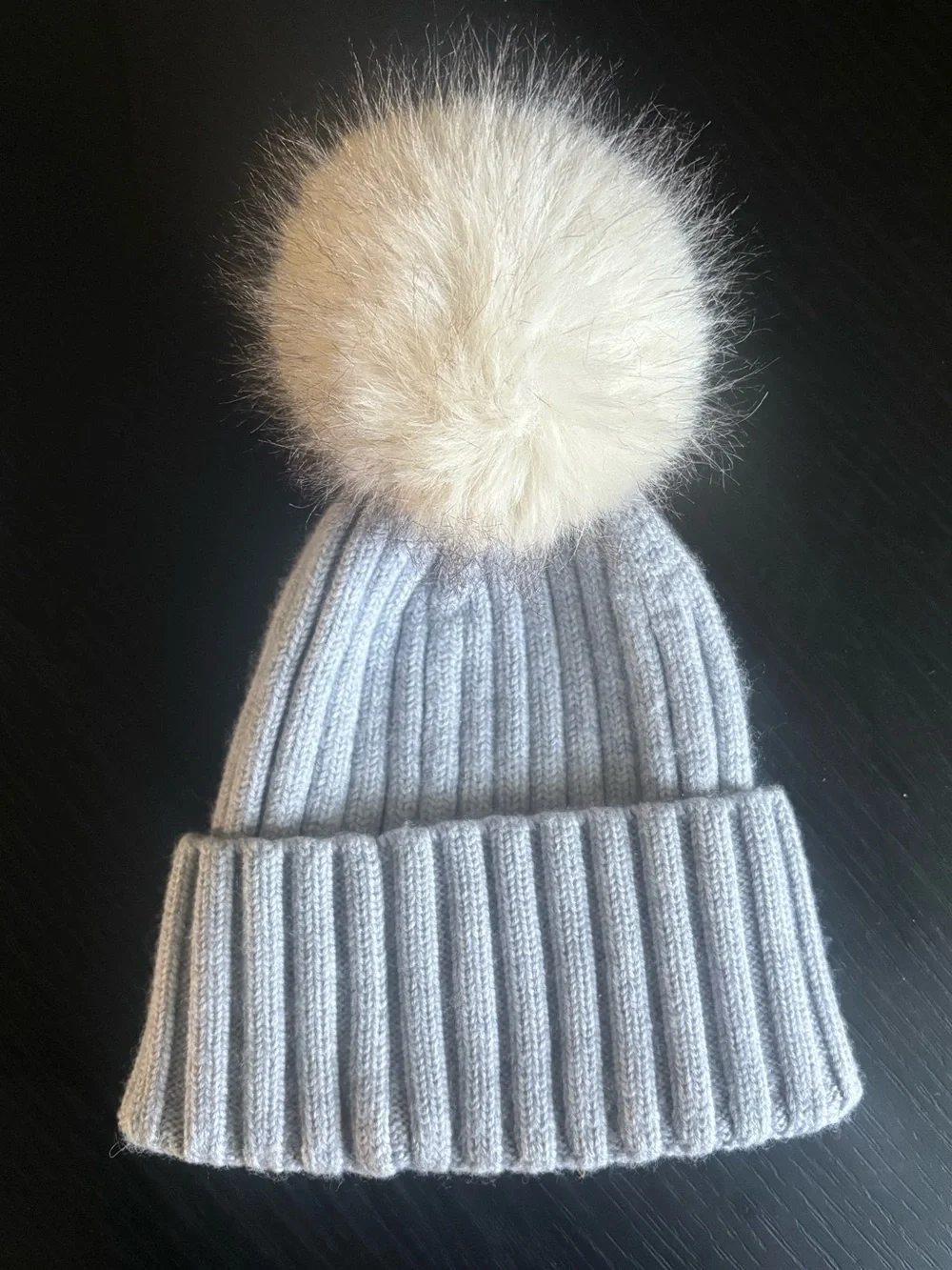 Aritzia Wool Hat